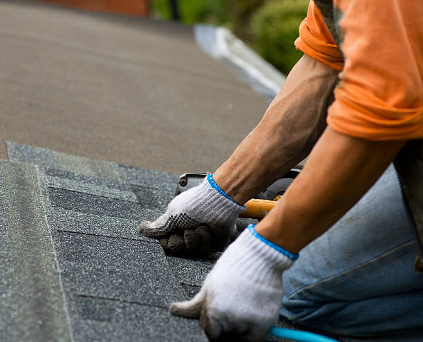 Best Roof Gutter Cleaning  in Social Circle, GA