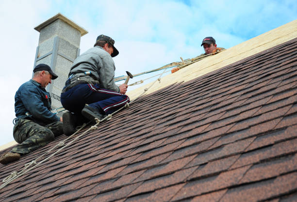 Roof Gutter Cleaning in Social Circle, GA